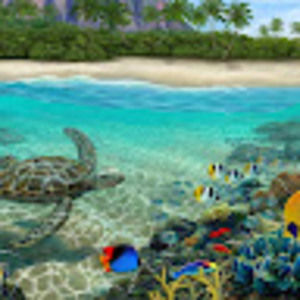 Meet your Posher, Joyce